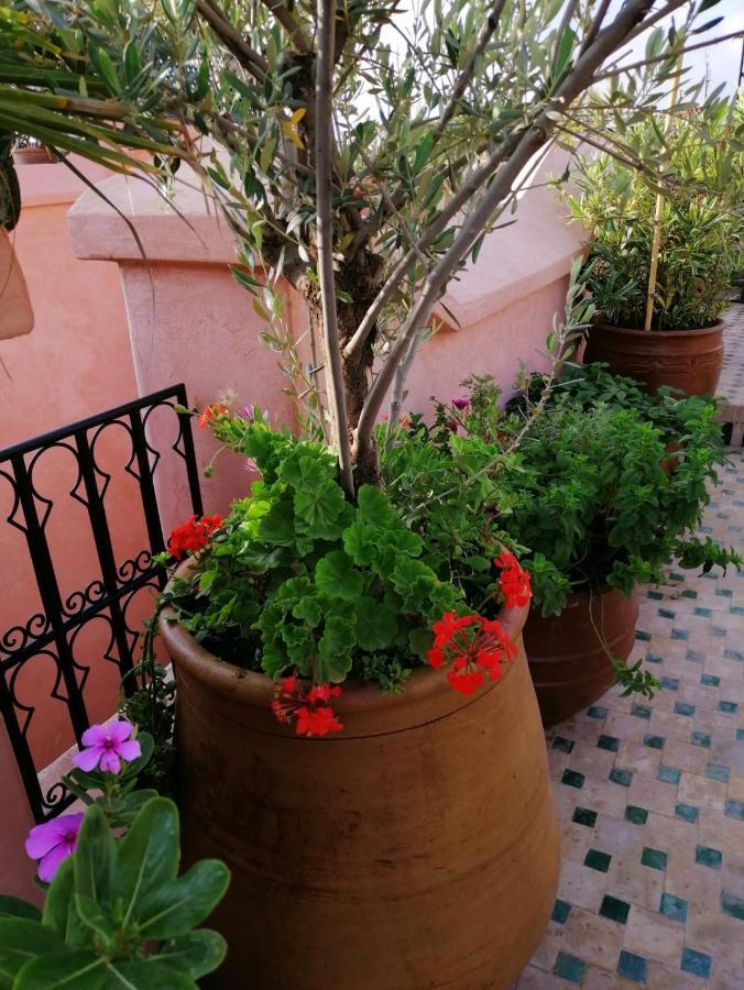Riad Aventurine Marakeş Dış mekan fotoğraf